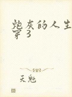 炮灰的人生 快穿 3