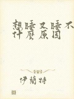 想睡又睡不着是什么原因