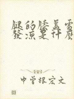 腿的膝盖处总是发凉是什么原因封面