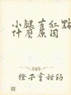 小腿有红点痒是什么原因