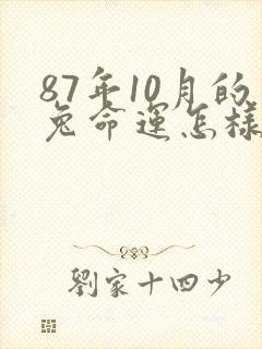 87年10月的兔命运怎样