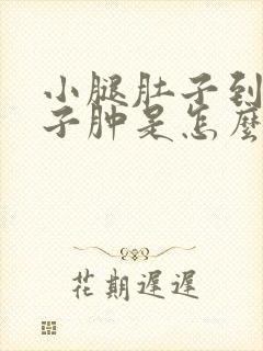 小腿肚子到脚脖子肿是怎么回事封面