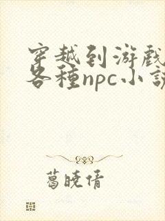 穿越到游戏里和各种npc小说