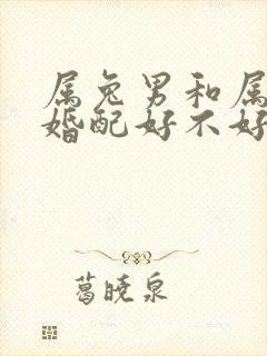 属兔男和属龙女婚配好不好