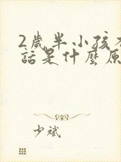 2岁半小孩不说话是什么原因