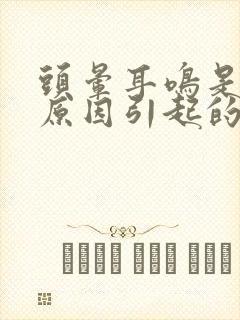 头晕耳鸣是什么原因引起的怎么办封面