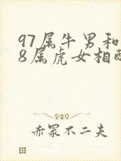 97属牛男和98属虎女相配吗