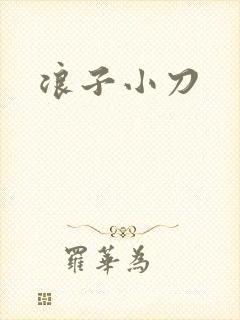 浪子小刀封面