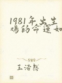 1981年出生鸡的命运如何