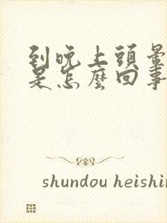 到晚上头晕晕的是怎么回事