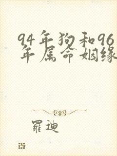 94年狗和96年属命姻缘如何封面