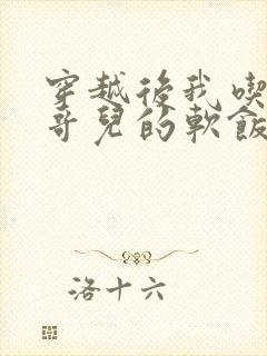 穿越后我吃到了哥儿的软饭炉山灰