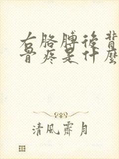 右胳膊后背肩胛骨疼是什么原因