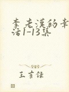 李老汉的幸福生活1-13集