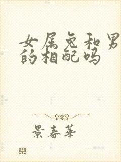 女属兔和男属龙的相配吗