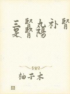 三肾丸补肾阴还是肾阳