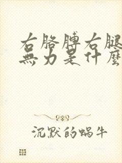 右胳膊右腿麻木无力是什么原因