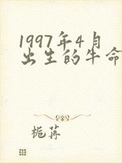 1997年4月出生的牛命运