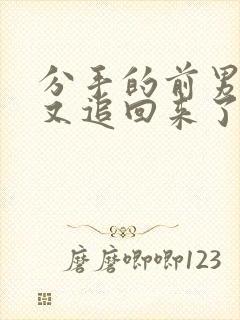 分手的前男友们又追回来了