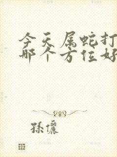 今天属蛇打牌坐哪个方位好