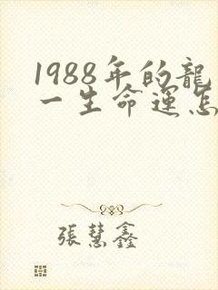 1988年的龙一生命运怎样封面