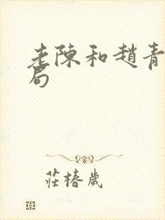 老陈和赵青的结局封面