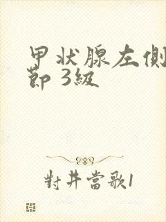 甲状腺左侧叶结节 3级