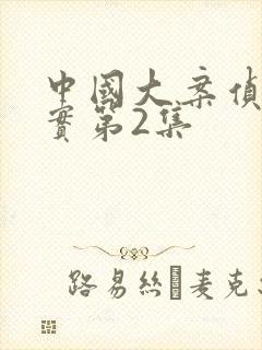 中国大案侦破纪实第2集