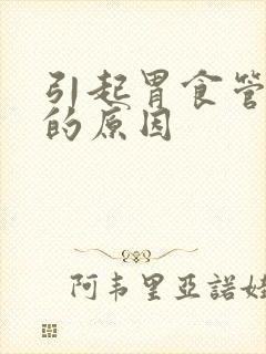 引起胃食管反流的原因