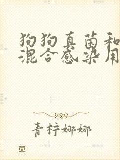 狗狗真菌和螨虫混合感染用什么药