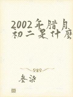 2002年腊月初二是什么命