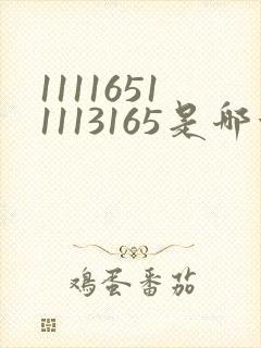 11116511113165是哪首歌的简谱