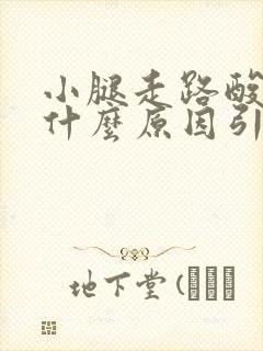 小腿走路酸胀痛什么原因引起的