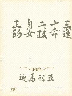 正月二十三出生的女孩命运封面