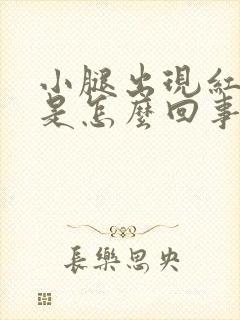 小腿出现红点点是怎么回事封面