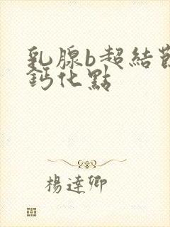 乳腺b超结节有钙化点