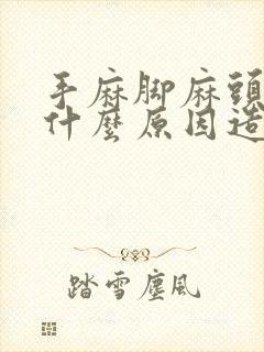 手麻脚麻头晕是什么原因造成的