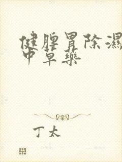 健脾胃除湿气的中草药