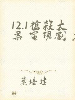 12.1枪杀大案 电视剧 免费观看封面