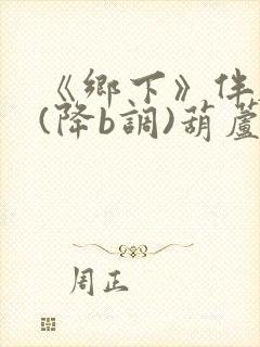 《乡下》伴奏曲(降b调)葫芦丝