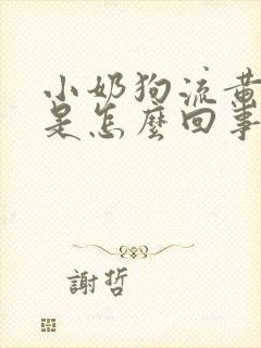 小奶狗流黄鼻涕是怎么回事