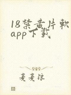 18禁黄片软件app下载