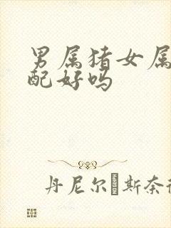 男属猪女属兔婚配好吗