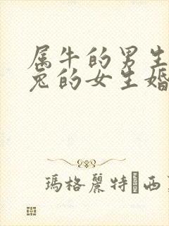 属牛的男生和属兔的女生婚姻如何