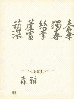 葫芦丝独奏竹林深处李春华简谱封面