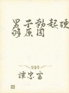 男子勃起硬度不够原因