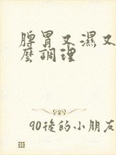 脾胃又湿又热怎么调理