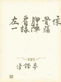 左肩胛骨像针扎一样阵痛