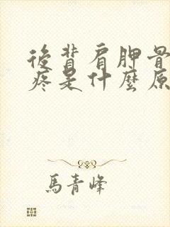 后背肩胛骨下面疼是什么原因引起的?