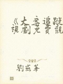 《大案追踪》电视剧免费观看